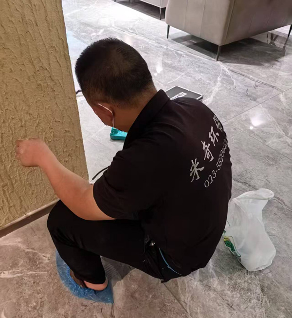 2025年4月30日万州北行车公寓灭白蚁服务由重庆市米奇环保科技有限公司承接，并顺利完成任务，且得到用户一致好评。